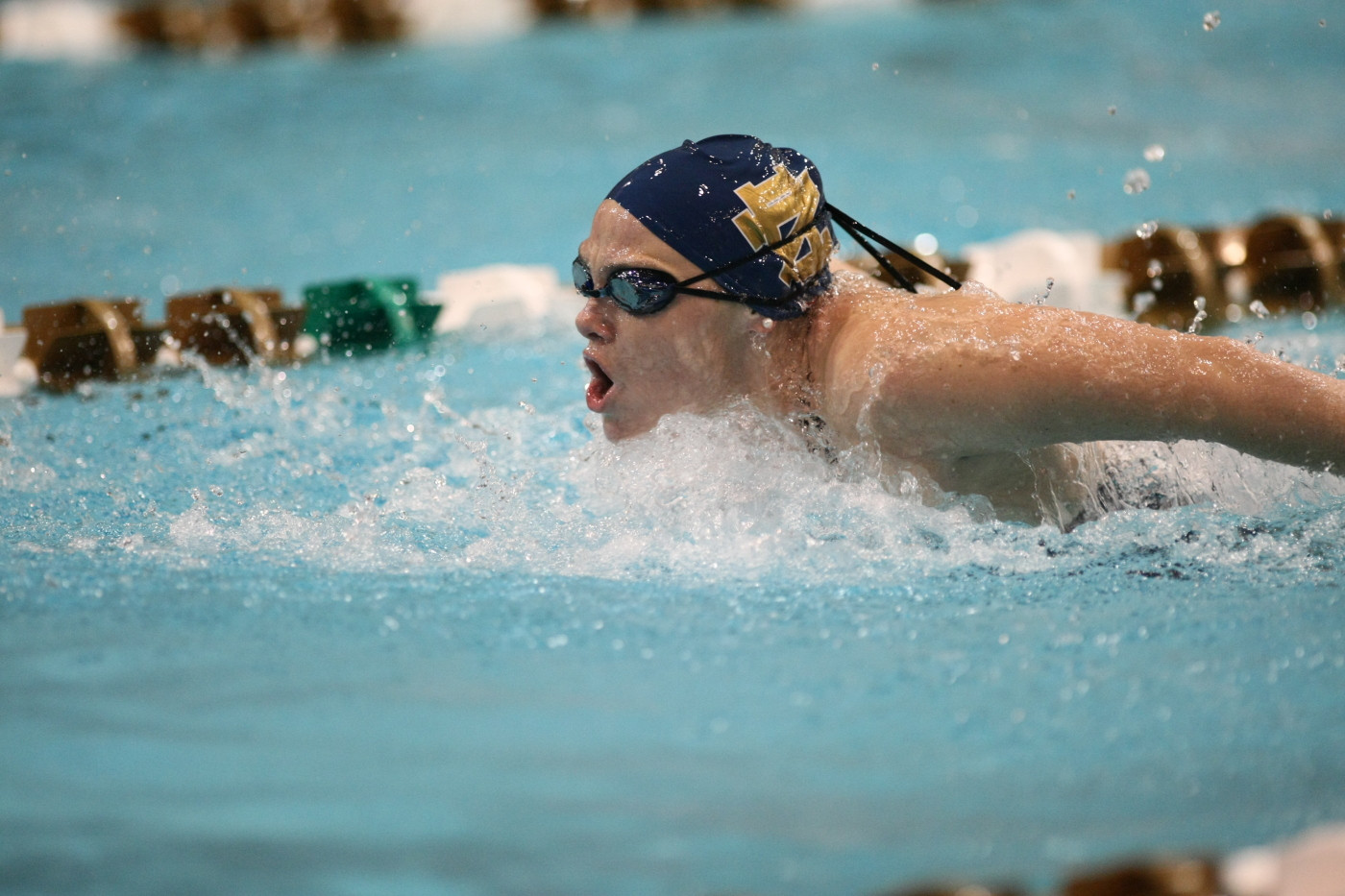 Fighting Irish Roll Out Carpet For Pittsburgh The Irish return to the Rolfs Aquatic Center after swimming at Washington State over fall break.
