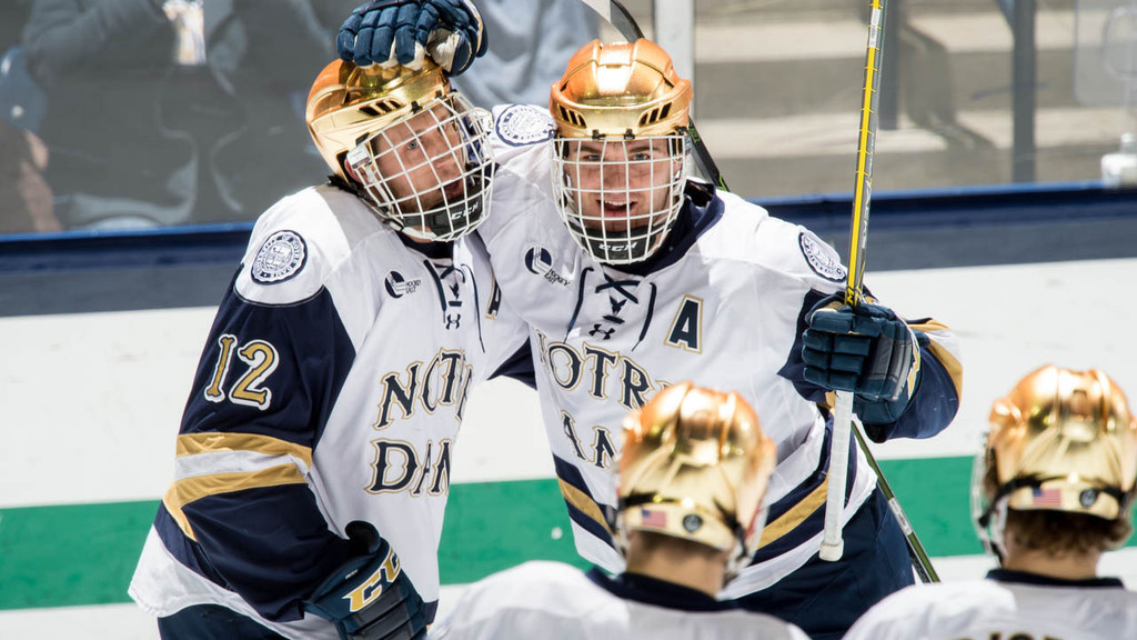 Irish Hockey vs. Western Michigan (1/8/15)