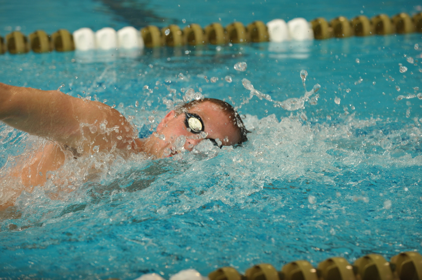 Season Continues With Swimming And Diving Tri-Meet At Cleveland State Notre Dame takes on Cleveland State and Miami (Ohio) this Saturday.
