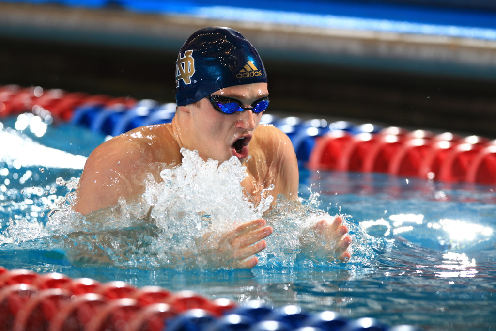 Men's NCAA Swimming Championship