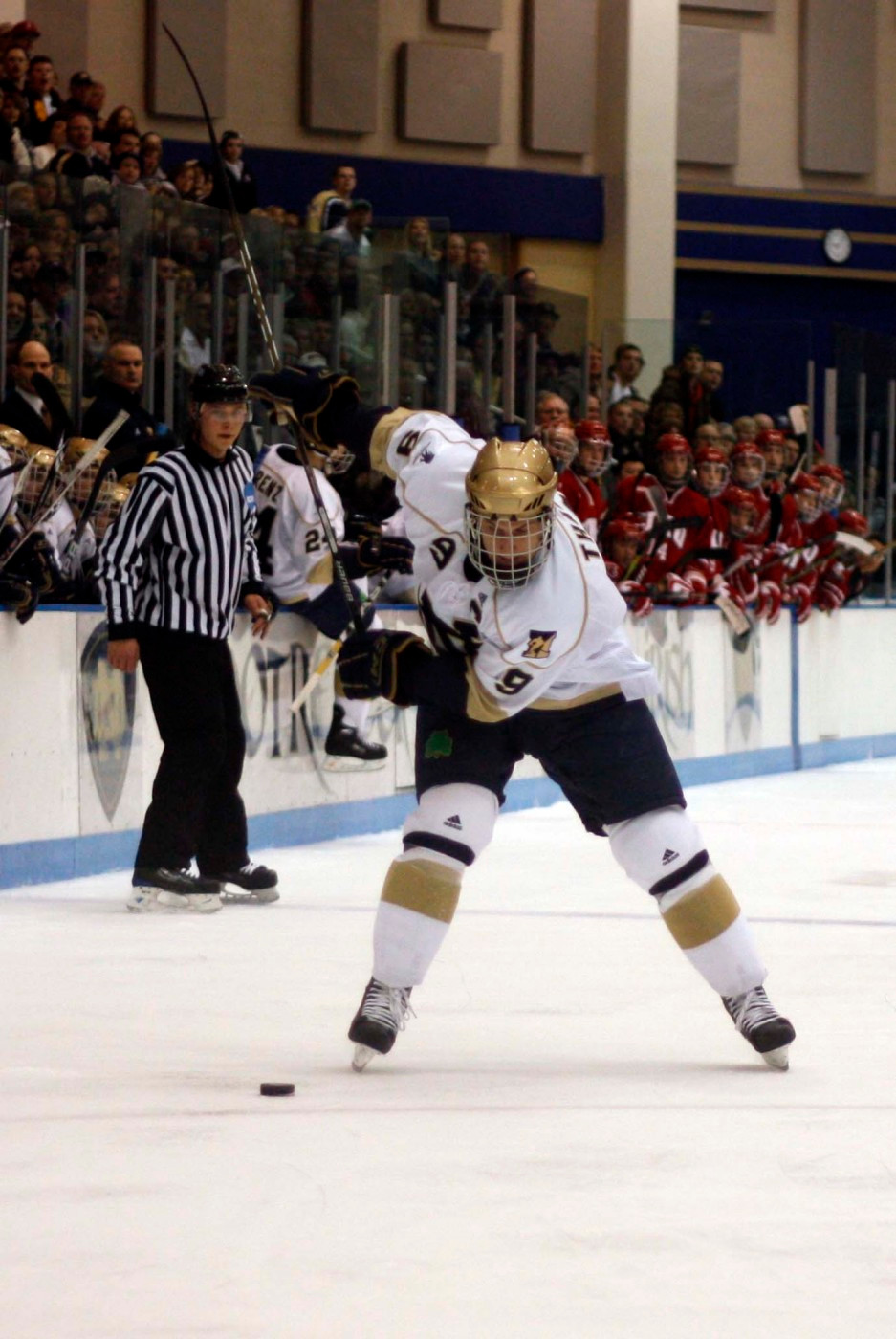 Follow The Leader Senior left wing Ryan Thang has piled up eight goals and nine assists for Notre Dame this season.