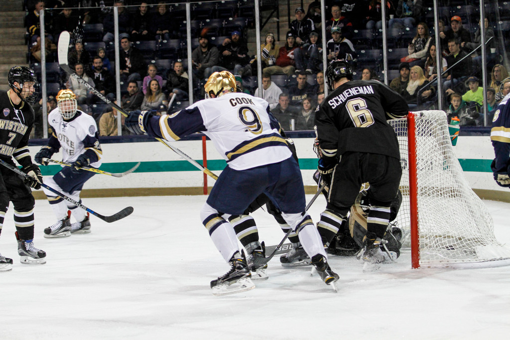 Notre Dame vs. Western Michigan (Nov. 28, 2015)