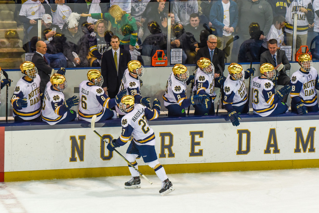No. 1 Notre Dame Hockey vs. Michigan, Game 3