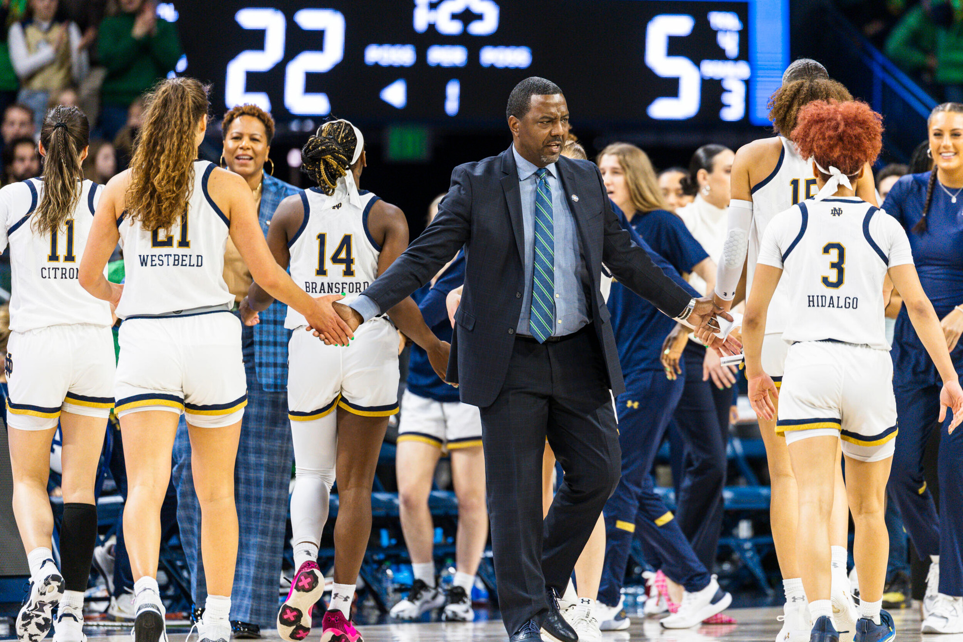 Knox Promoted To Assistant Coach Ahead Of Third Season Knox Promoted To Assistant Coach Ahead Of Third Season