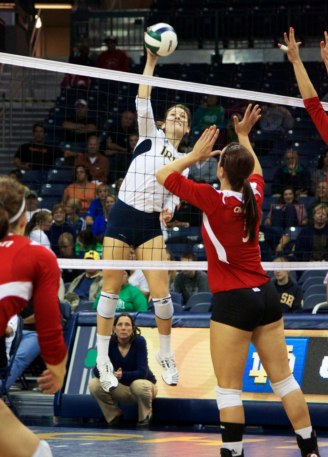 Volleyball Defeated By Louisville, 3-1 Senior Kristen Dealy