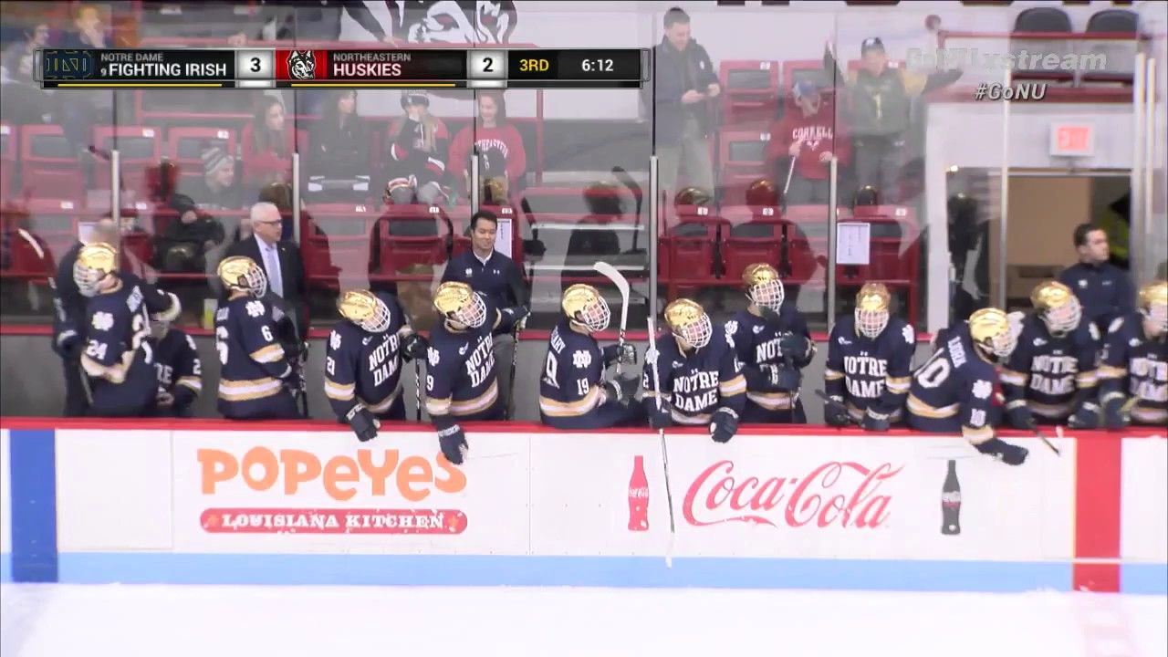 Notre Dame Hockey vs. Northeastern Highlights