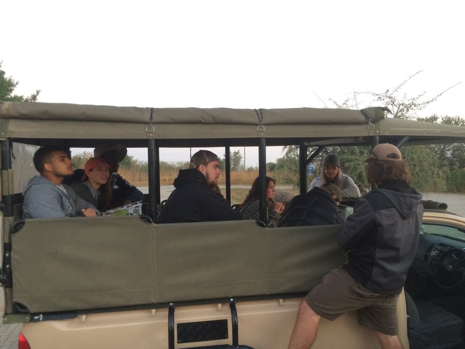 Halfway through their study abroad trip, student-athletes went on safari at Kruger National Park.