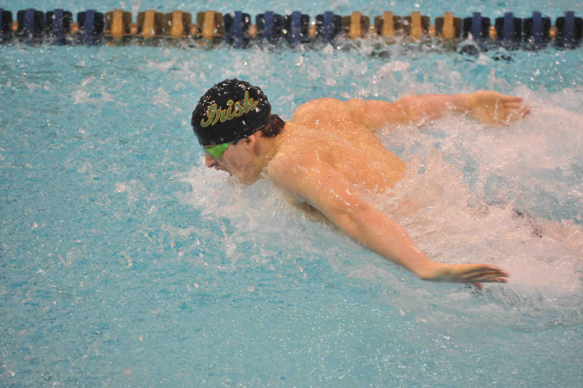 Notre Dame 2016-17 Swimming and Diving Schedule Released Notre Dame 2016-17 Swimming and Diving Schedule Released