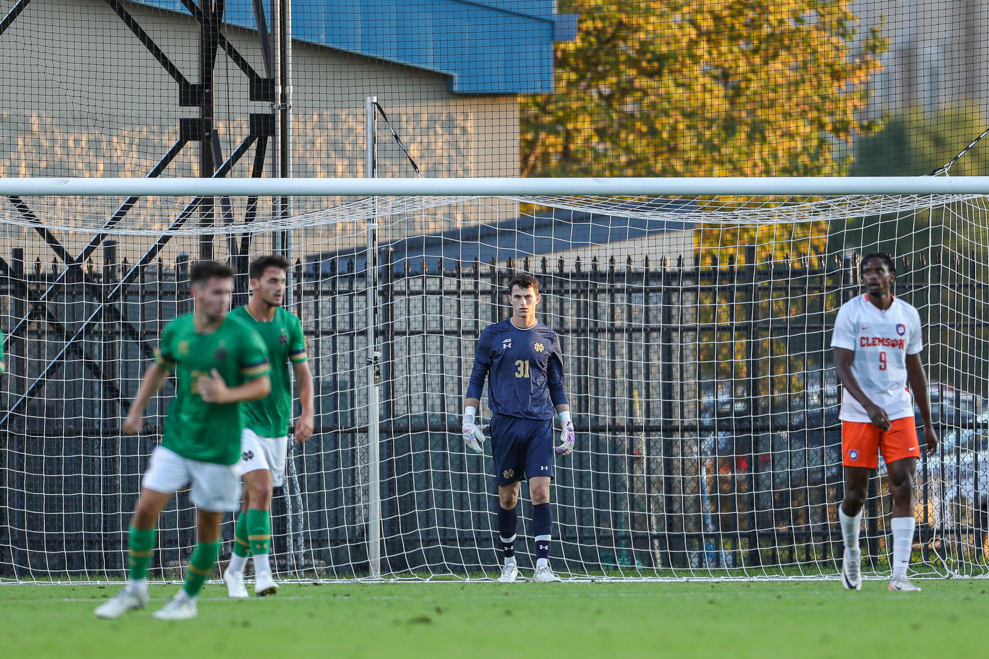 Dowd, Irish Carry Fiery Resolve Into Postseason Dowd, Irish Carry Fiery Resolve Into Postseason