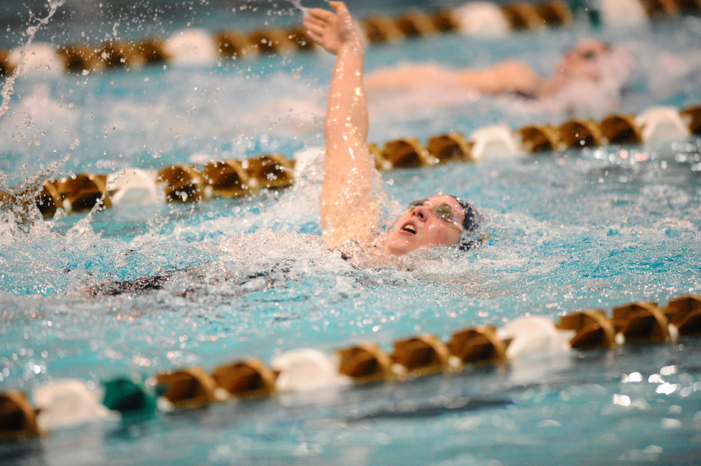 Shamrock Invitational - Jan. 31 - Feb. 1, 2014