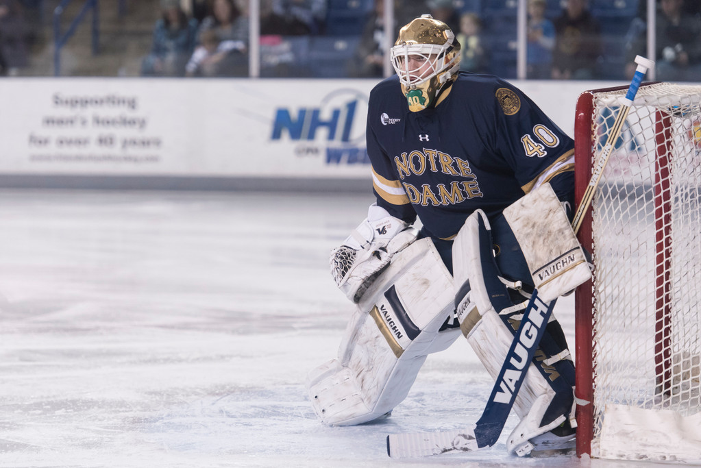 Notre Dame at New Hampshire -- Jan. 23, 2016