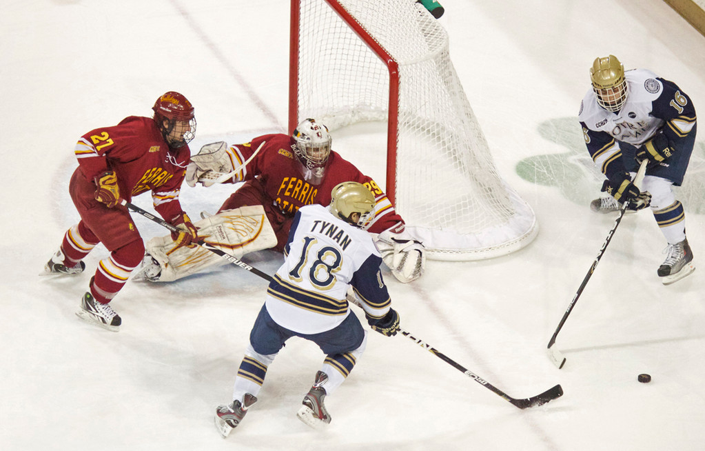 2/10 Hockey vs Ferris State