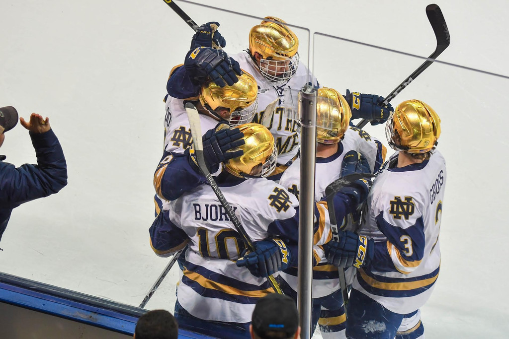 Notre Dame vs. New Hampshire (Jan. 21, 2017)