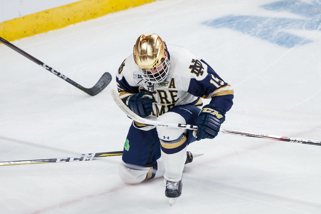 Notre Dame vs. Minnesota Duluth (USATSI)