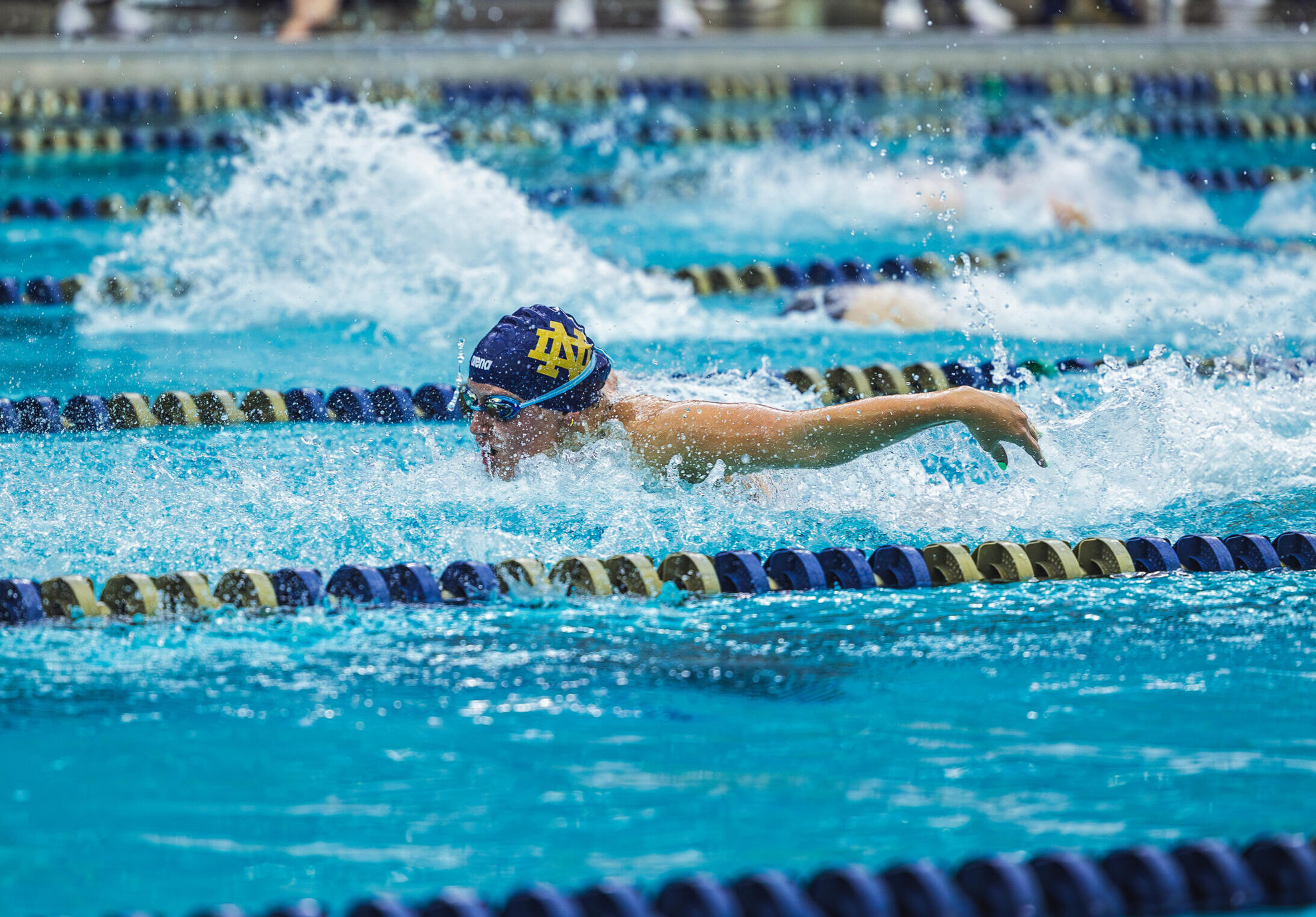 Irish Set For Blue/Gold Meet, Alumni Weekend Irish Set For Blue/Gold Meet, Alumni Weekend