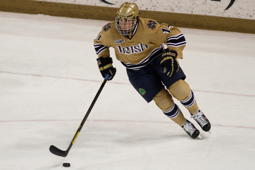 11/4 Hockey vs. Western Michigan