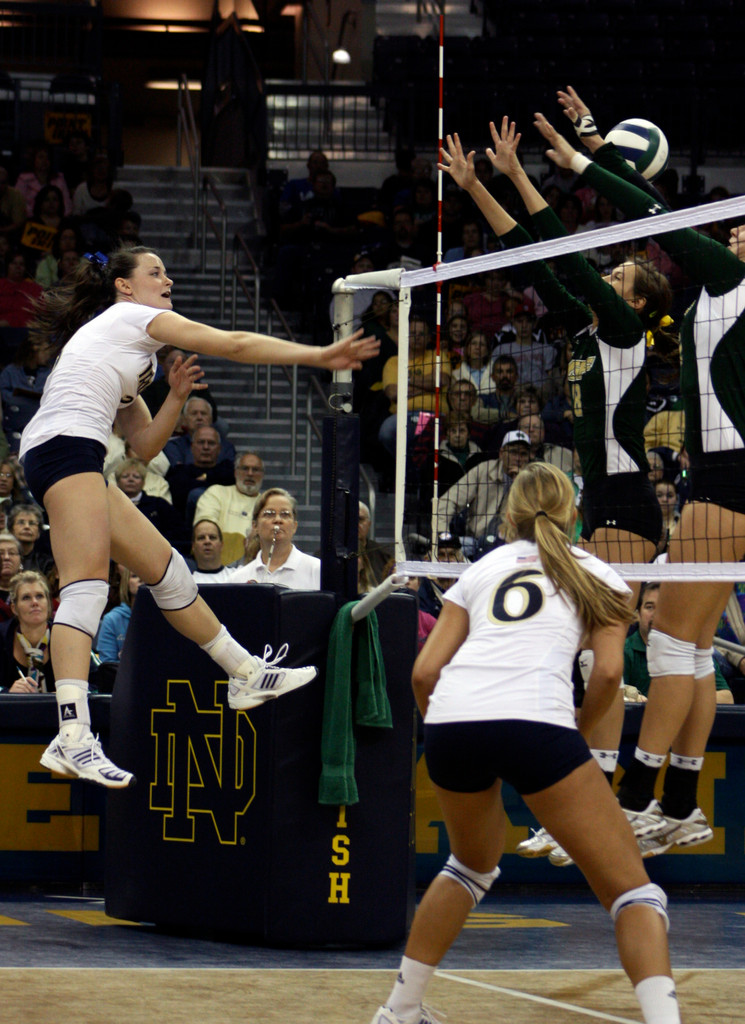 Volleyball Tags USF for 3-1 Win