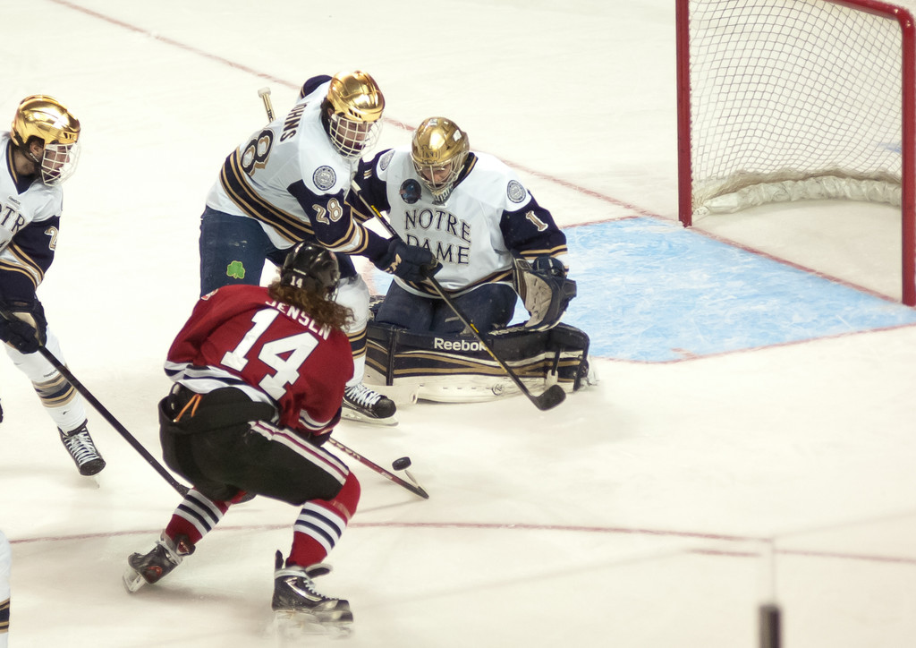 Notre Dame Men's Ice Hockey falls to St. Cloud State on 03-30-2013