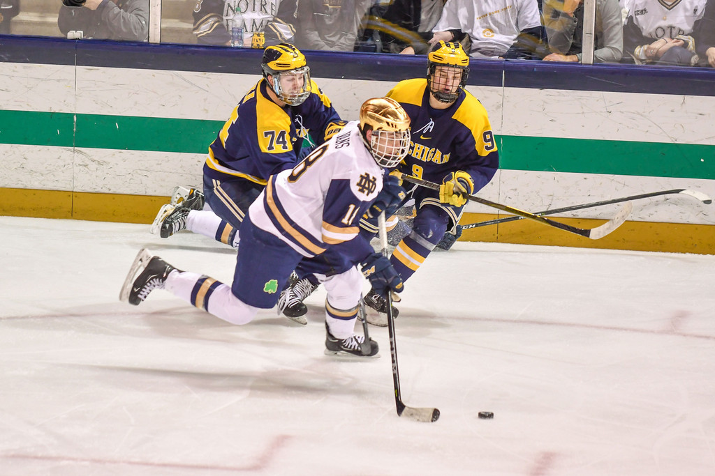 No. 1 Notre Dame Hockey vs. Michigan, Game 3