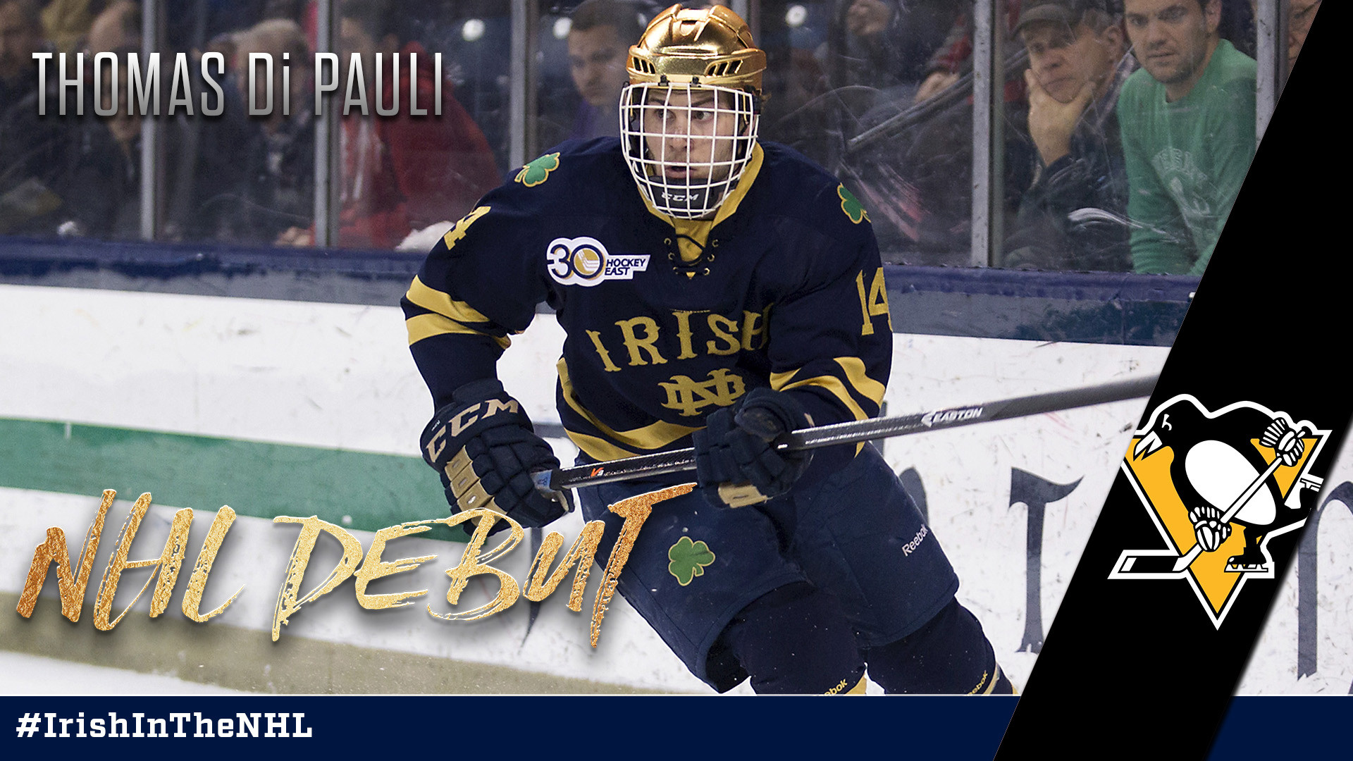 Di Pauli To Make NHL Debut For Pittsburgh Di Pauli To Make NHL Debut For Pittsburgh