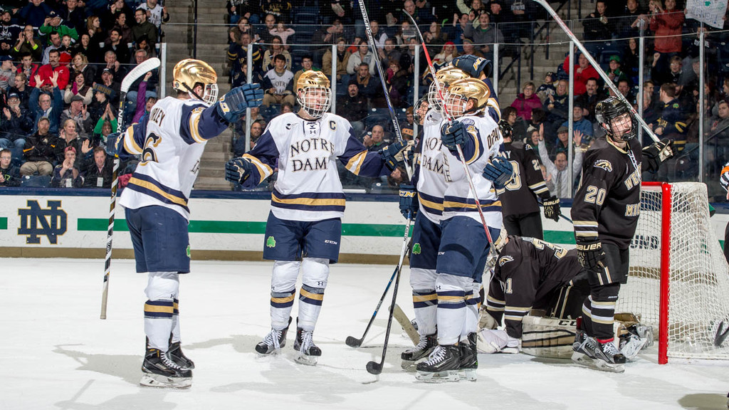 Irish Hockey vs. Western Michigan (1/8/15)