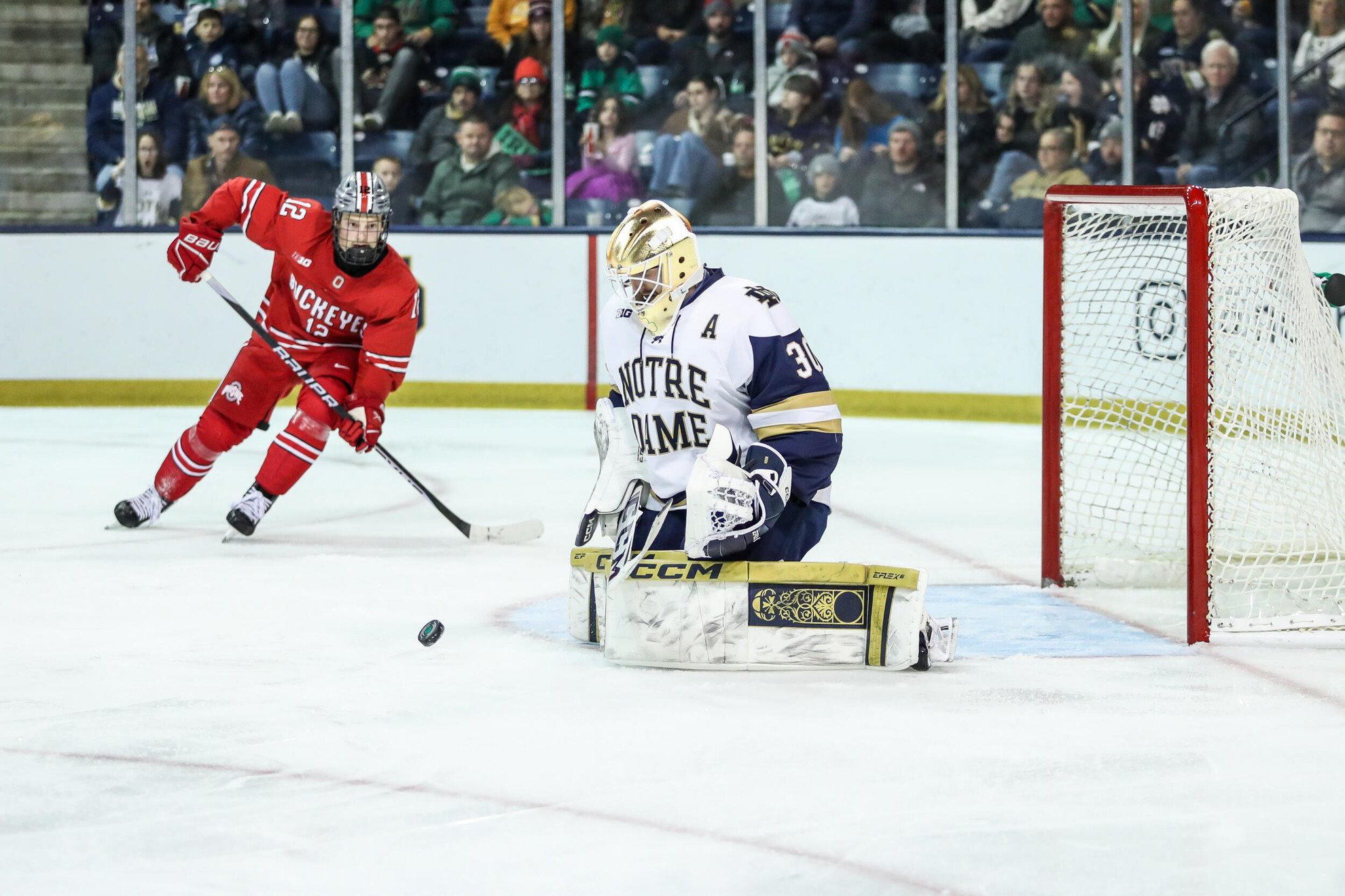 Bischel Earns Mike Richter Award Watchlist Nod Bischel Earns Mike Richter Award Watchlist Nod