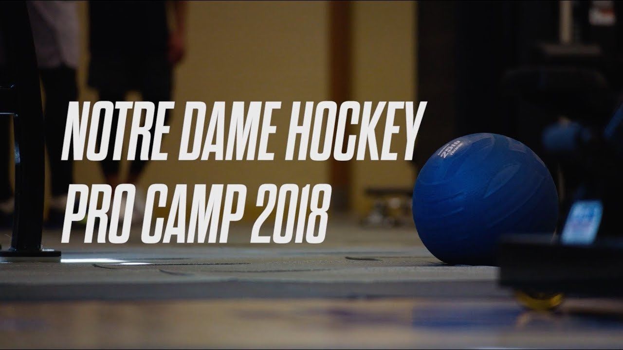 @NDHockey | Pro Camp (2018)