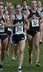 Irish Cross Country To Host 49th Annual Notre Dame Invitational Junior Molly Huddle will be looking to take home her second straight Notre Dame Invitational title on Friday. Both the Irish men's and women's teams hope to repeat their championship performances of a year ago.