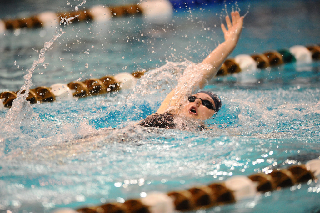 Shamrock Invitational - Jan. 31 - Feb. 1, 2014