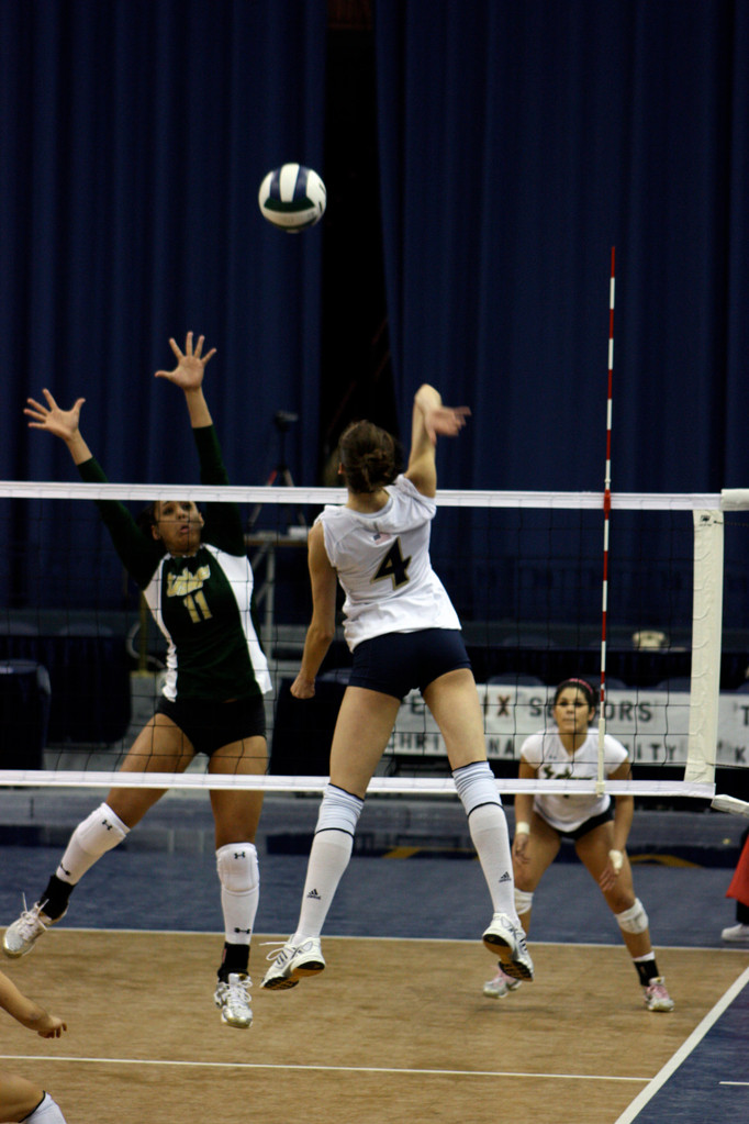 Volleyball Tags USF for 3-1 Win