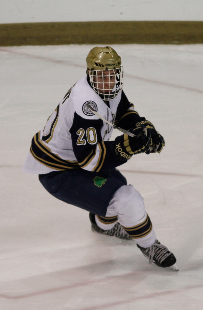 1/19 Hockey vs. Alaska