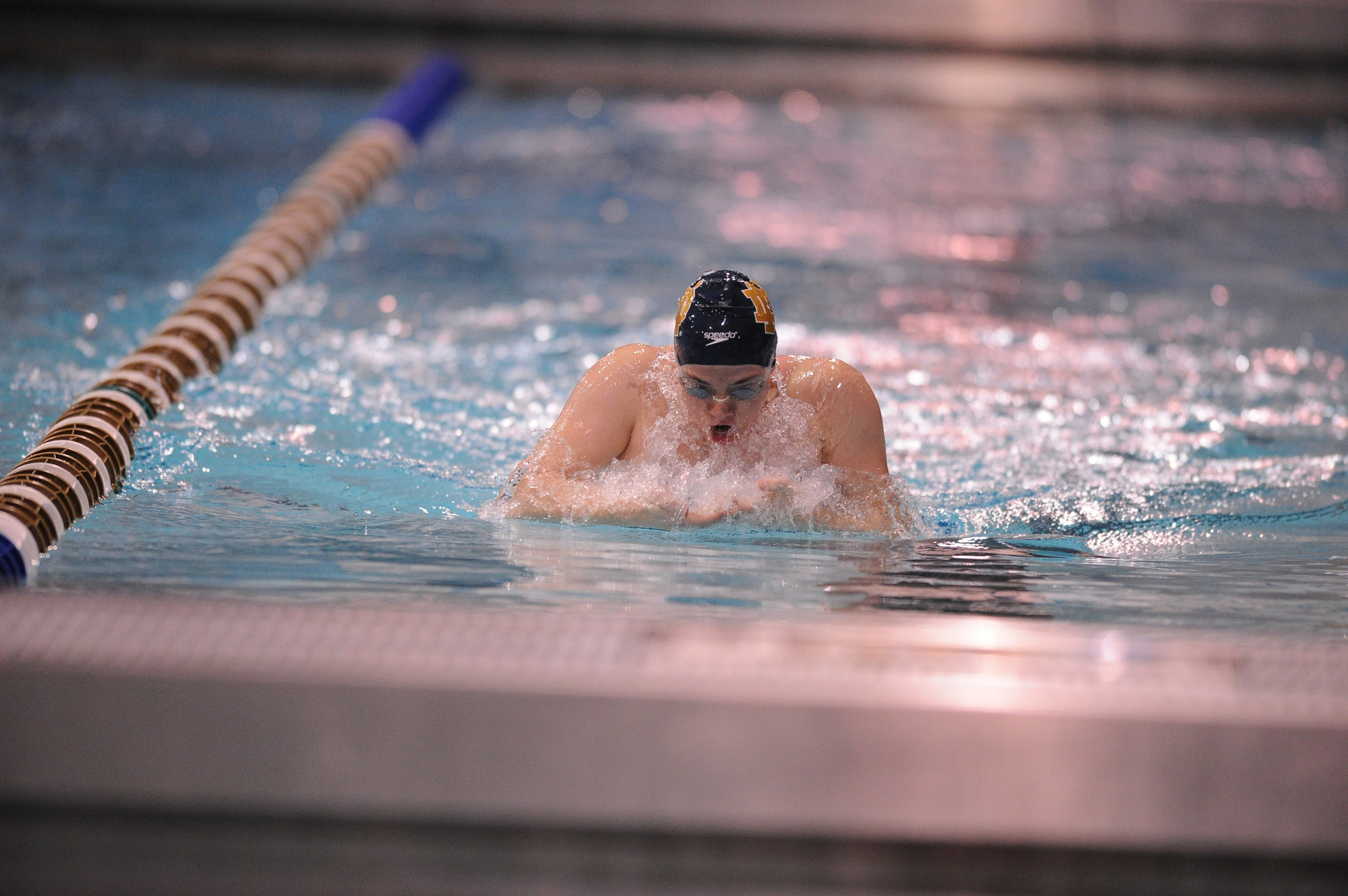 Seven Irish Standouts Earn CSCAA Scholar All-America Honors Notre Dame graduate Lauren Stauder was one of seven Irish standouts to earn national academic honors recently.