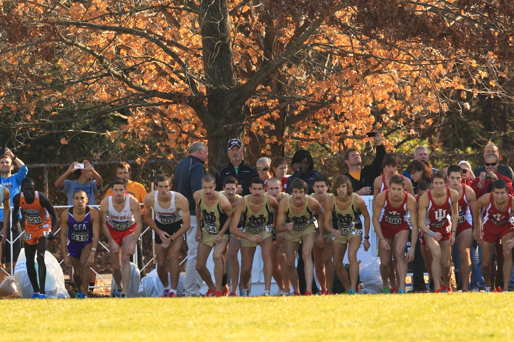2012 NCAA Championship
