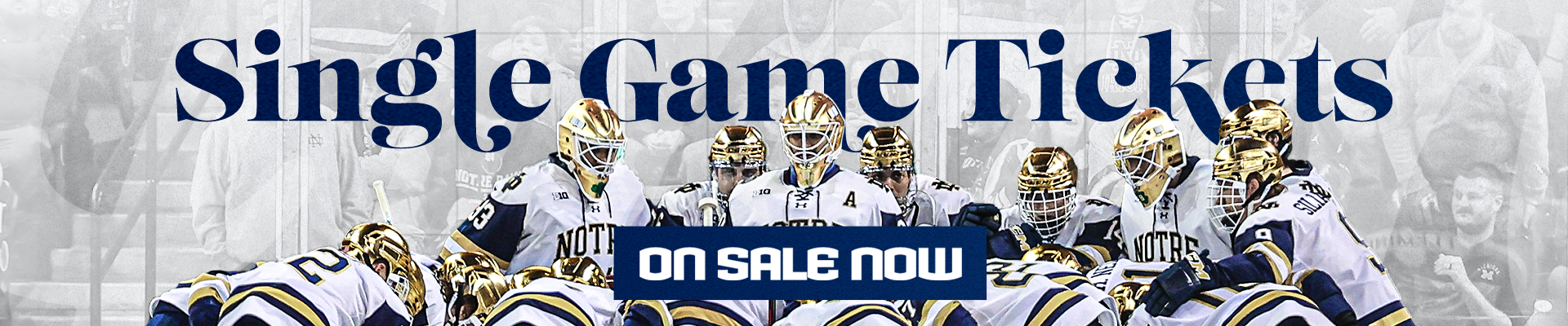 Notre Dame Fighting Irish - Official Athletics Website