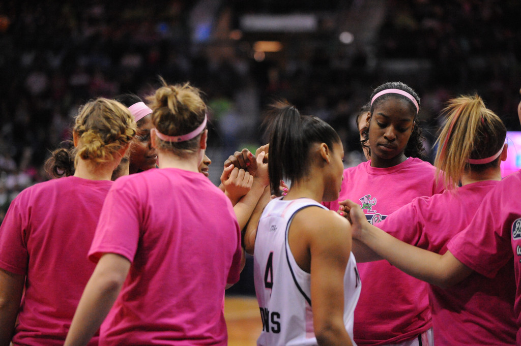 Notre Dame Pink Zone 2014