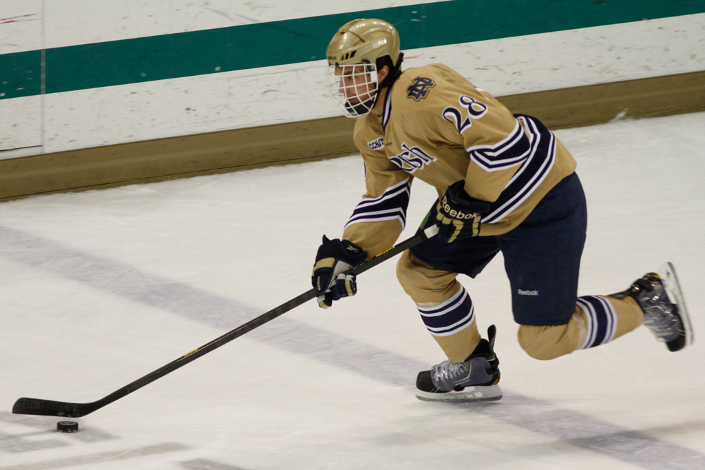 11/4 Hockey vs. Western Michigan