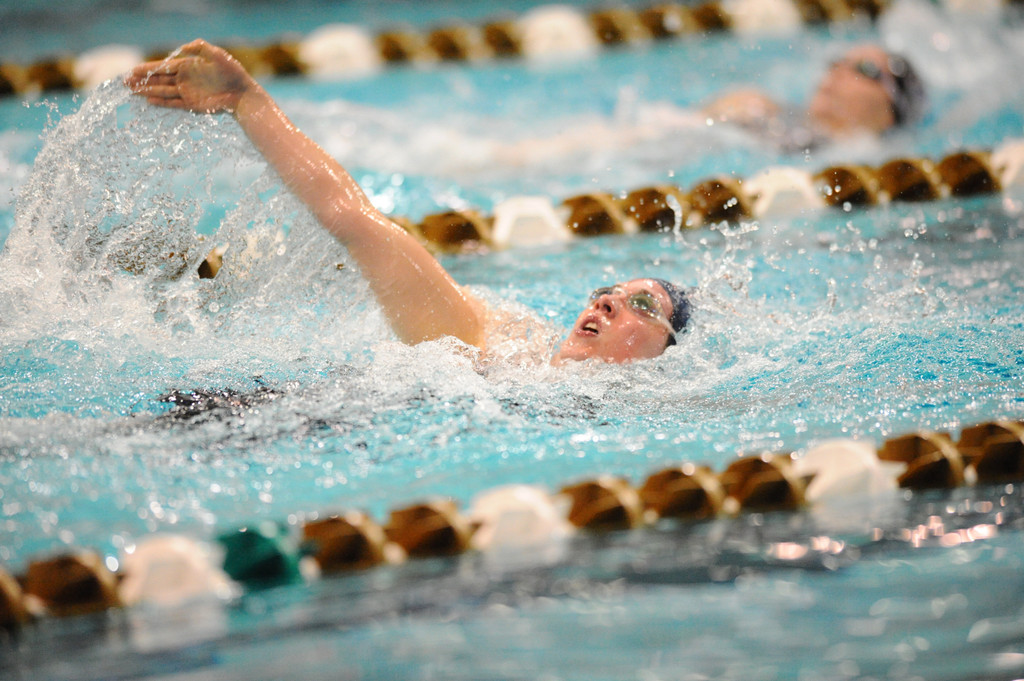 Shamrock Invitational - Jan. 31 - Feb. 1, 2014