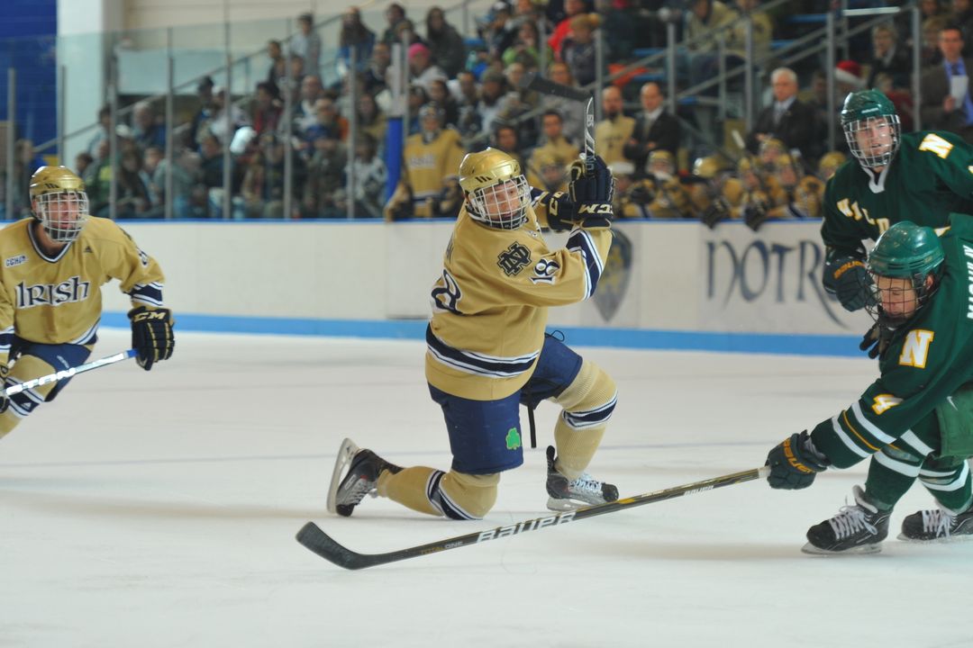 Freshman center T.J. Tynan is one of two 20-goal scorers for the Irish in 2010-11.