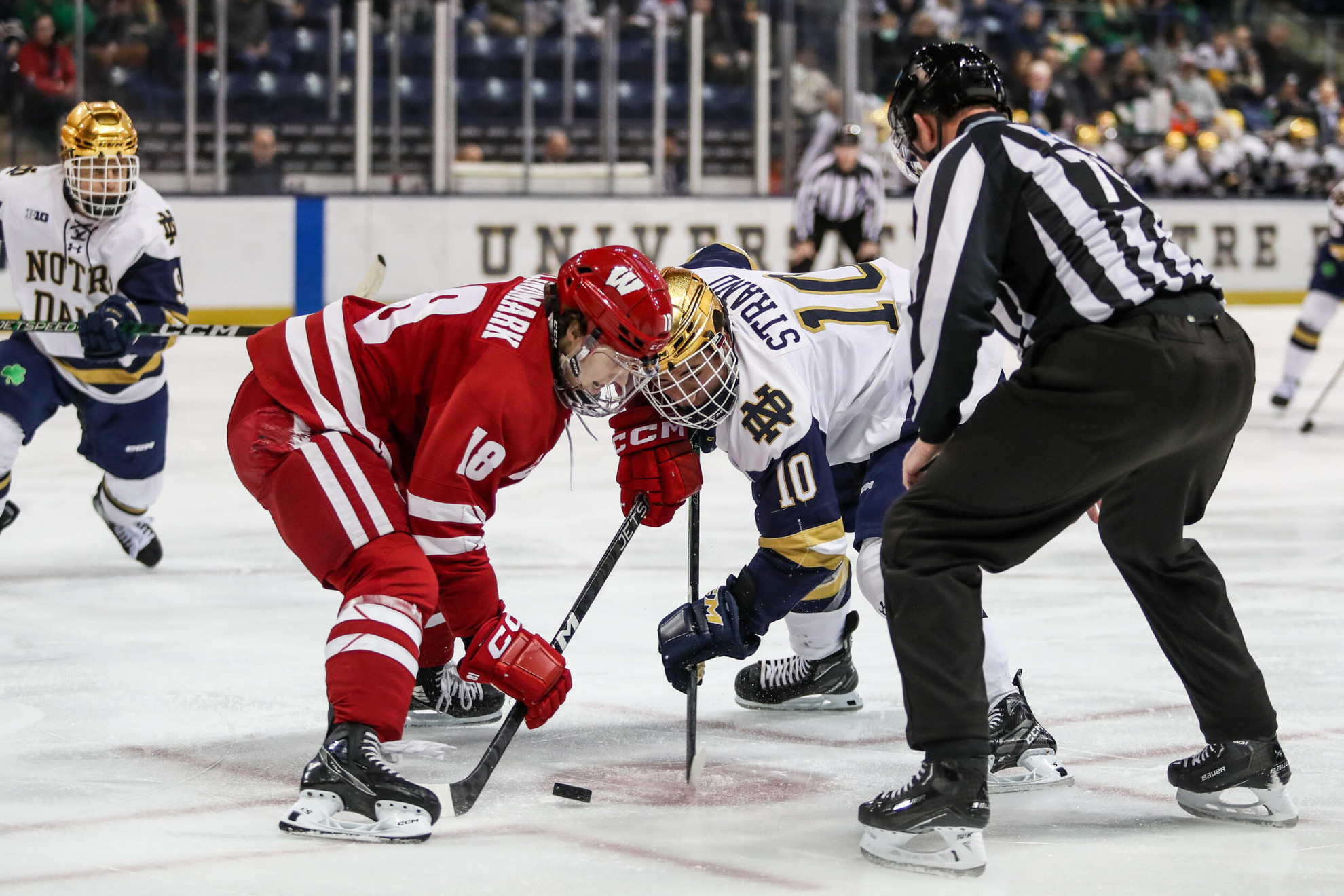 Irish Host Badgers For Weekend Tilt Irish Host Badgers For Weekend Tilt