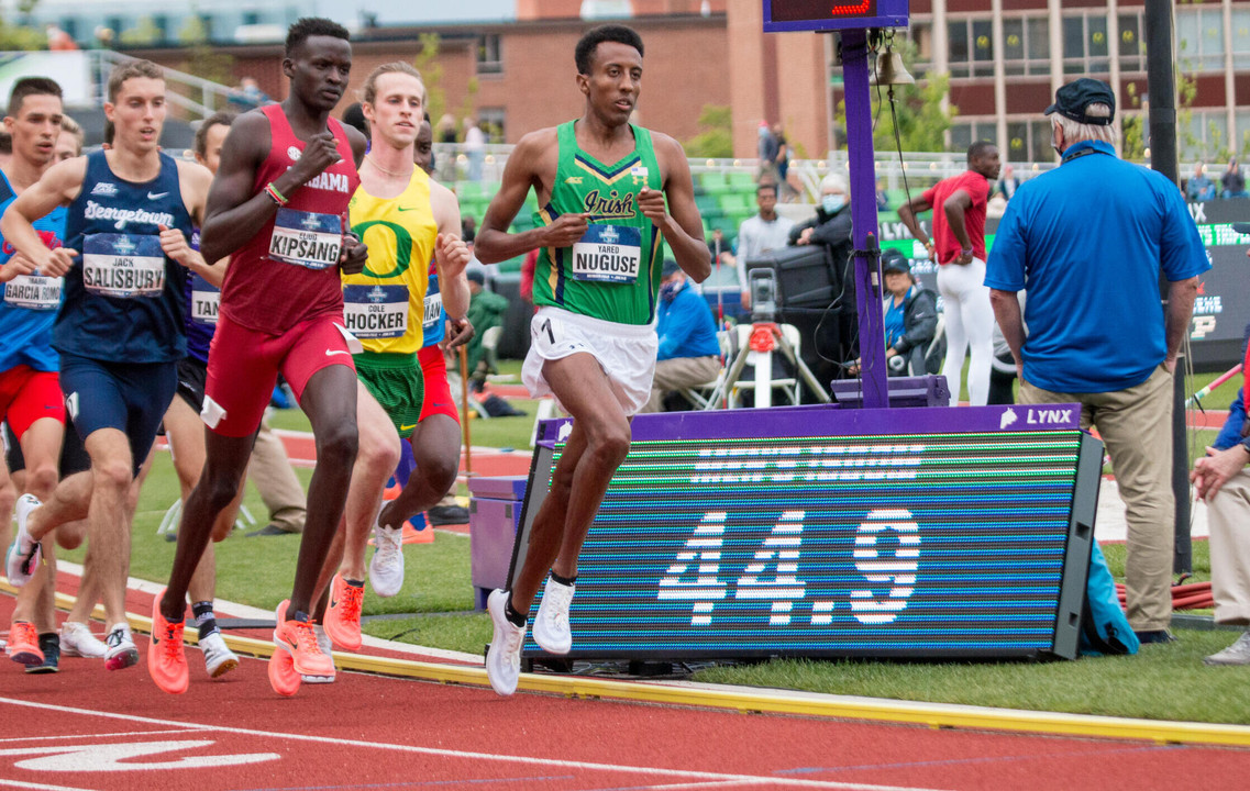 Notre Dame Fighting Irish - Official Athletics Website