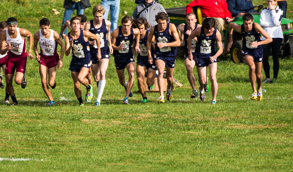 2014 ACC Championships