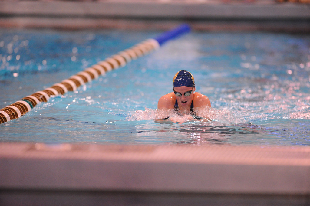 Shamrock Invitational - Jan. 31 - Feb. 1, 2014