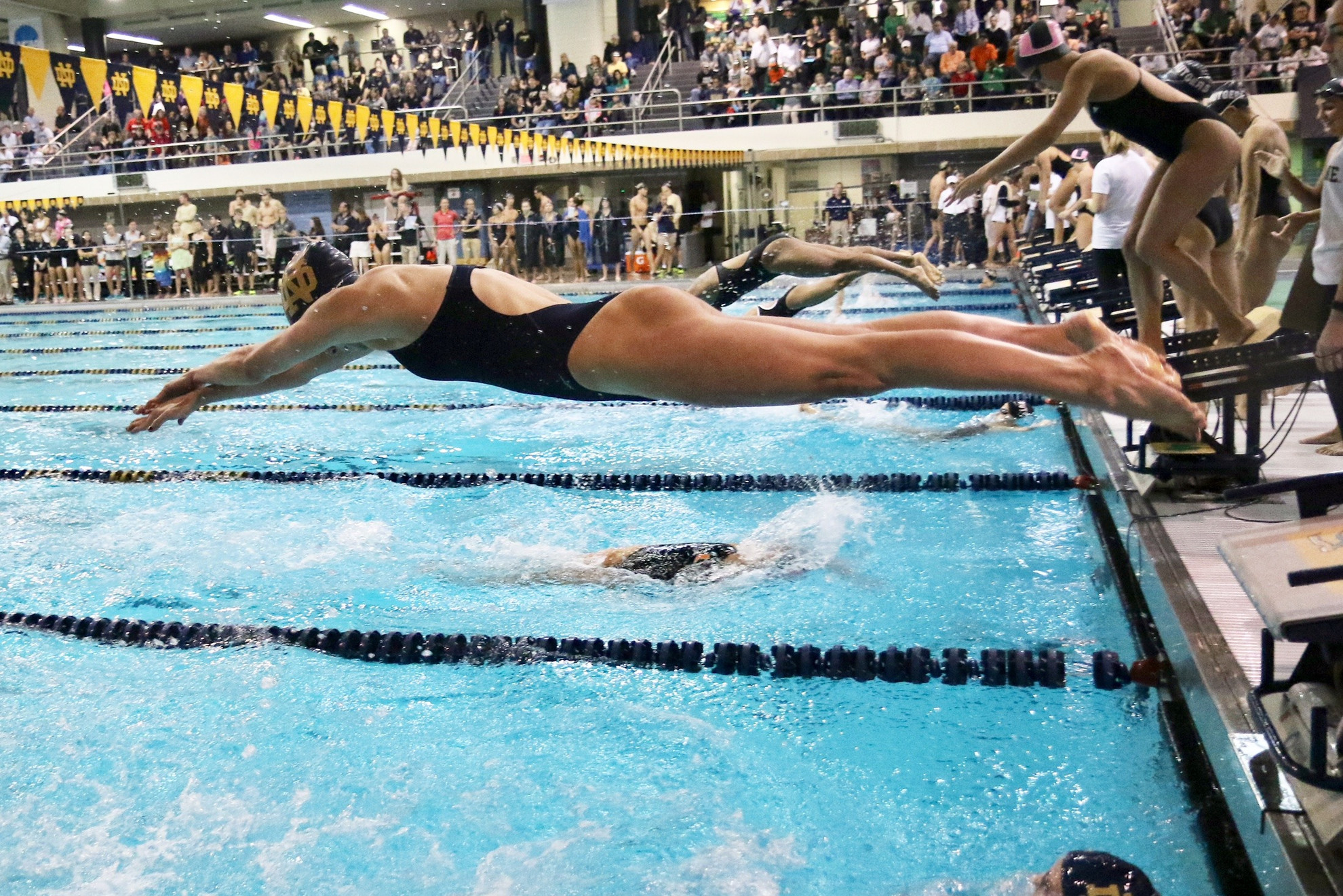 Irish Swimming and Diving Start Strong at GAC Invite Irish Swimming and Diving Start Strong at GAC Invite