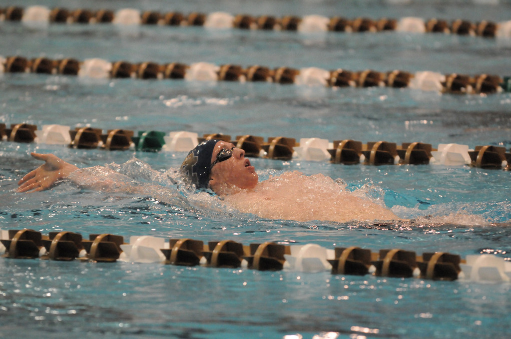 2007-08 Men's Swimming and Diving