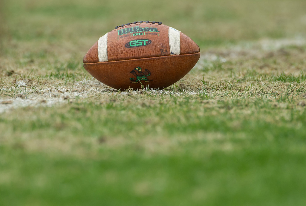 85th Annual Blue-Gold Game