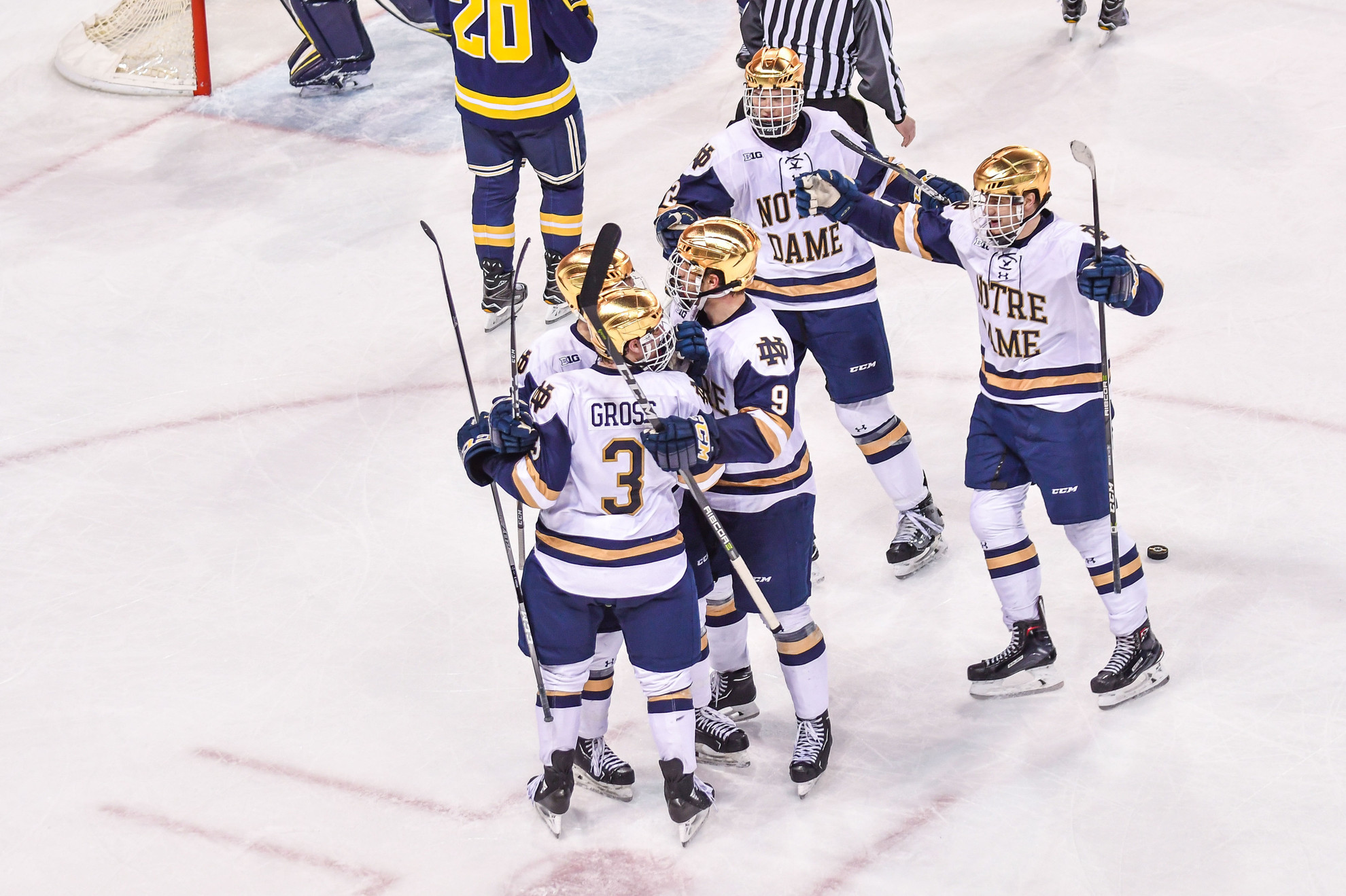 #3/5 Irish Cap Regular Season At Home Against Michigan State #3/5 Irish Cap Regular Season At Home Against Michigan State