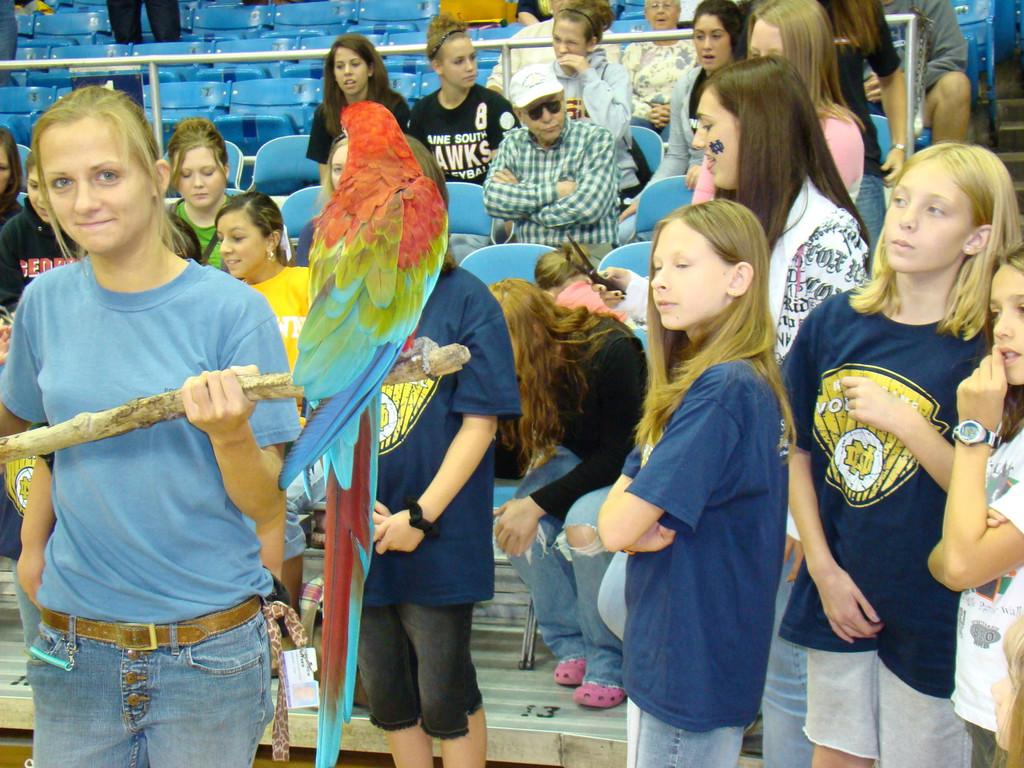 Women's Volleyball vs. Seton Hall