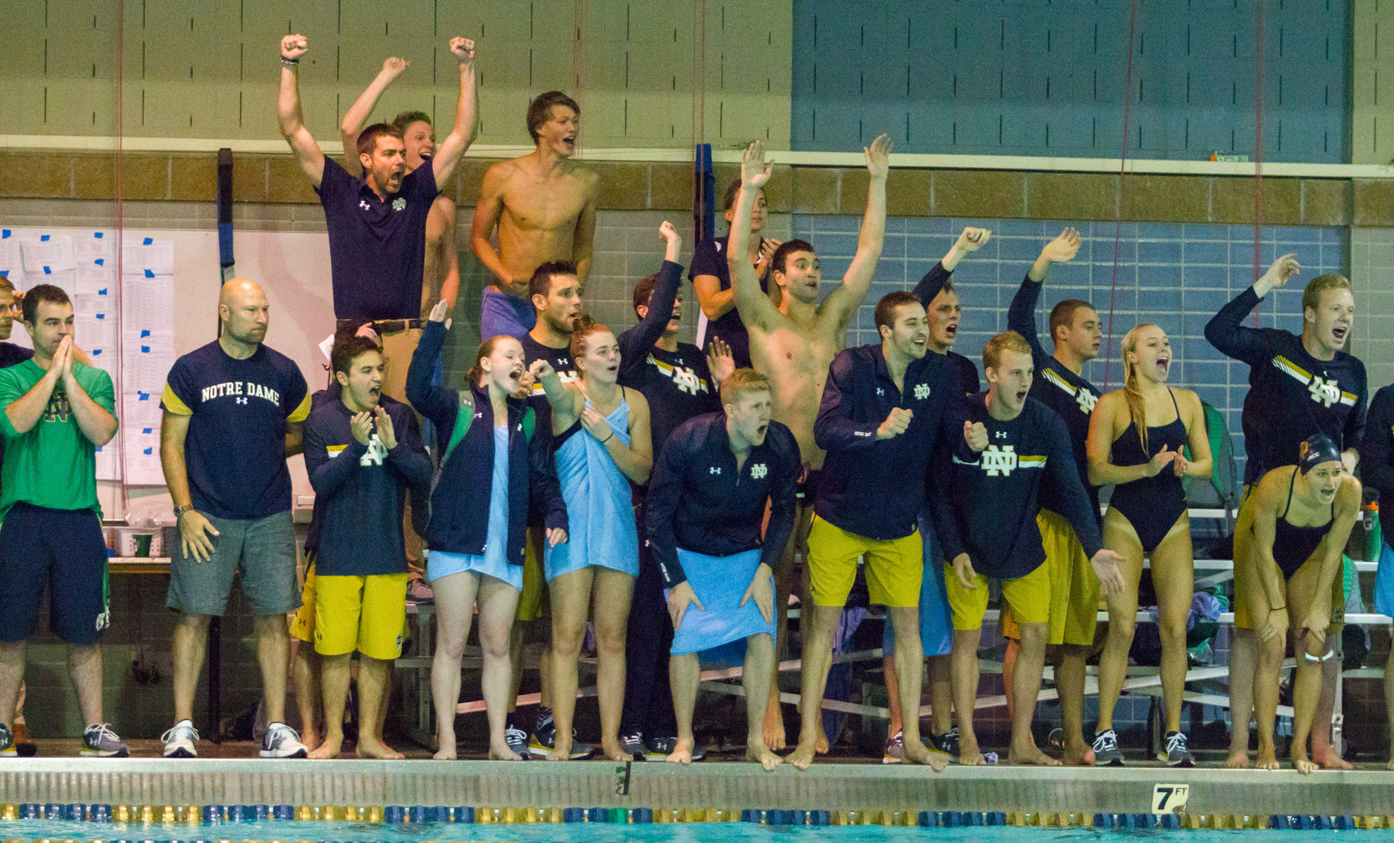 Swimming & Diving Earns Highest-Ever Rankings Swimming & Diving Earns Highest-Ever Rankings