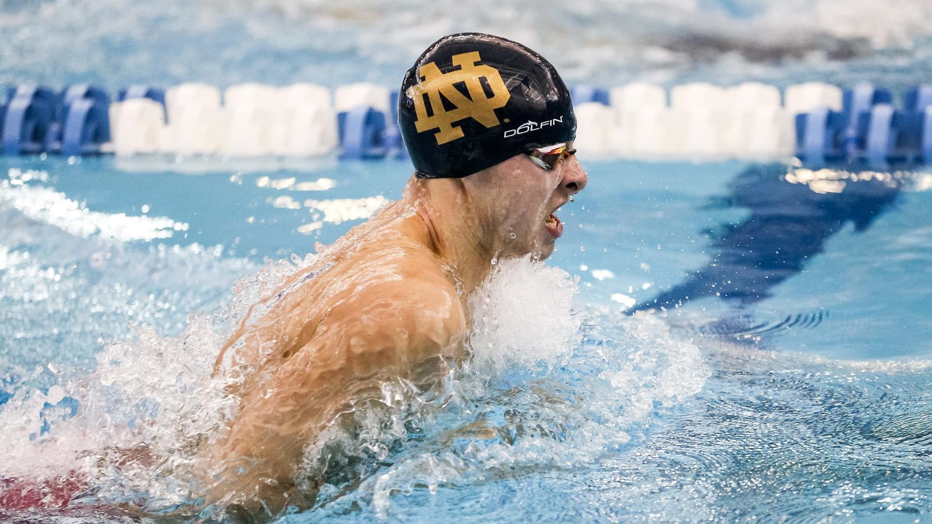 Irish Men Finish Sixth At ACC Swim Championships Bottelberghe ACCs