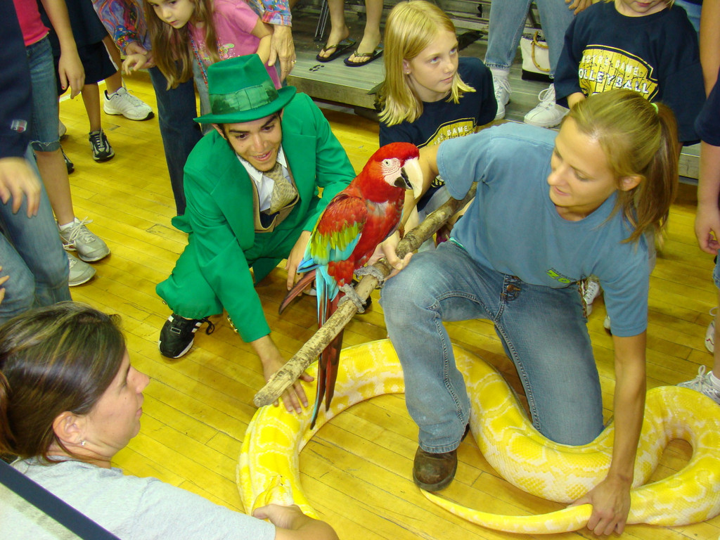 Women's Volleyball vs. Seton Hall